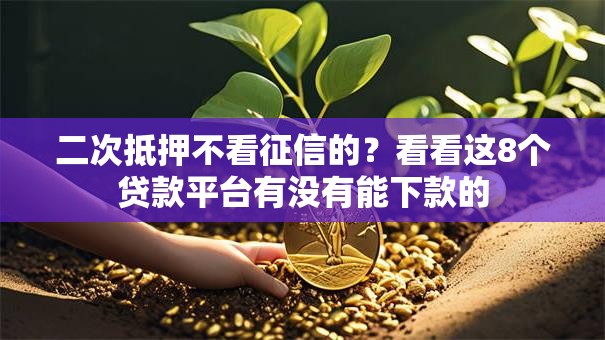 二次抵押不看征信的?看看这8个贷款平台有没有能下款的 二次抵押不看征信的?看看这8个贷款平台有没有能下款的