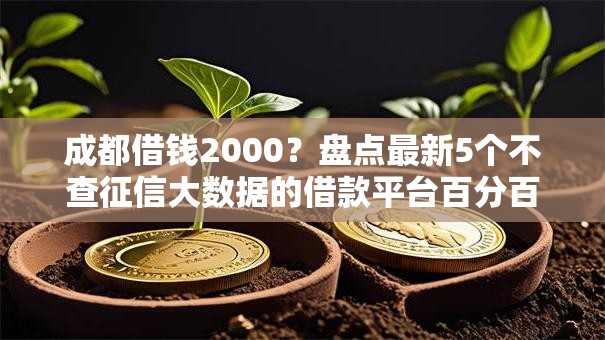 成都借钱2000?盘点最新5个不查征信大数据的借款平台百分百通过 成都借钱2000?盘点最新5个不查征信大数据的借款平台百分百通过