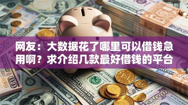 网友：大数据花了哪里可以借钱急用啊？求介绍几款最好借钱的平台