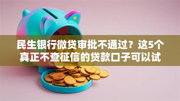 民生银行微贷审批不通过?这5个真正不查征信的贷款口子可以试试 民生银行微贷审批不通过?这5个真正不查征信的贷款口子可以试试