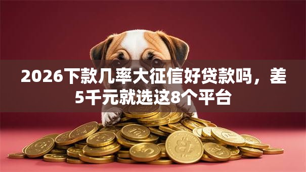 2026下款几率大征信好贷款吗，差5千元就选这8个平台