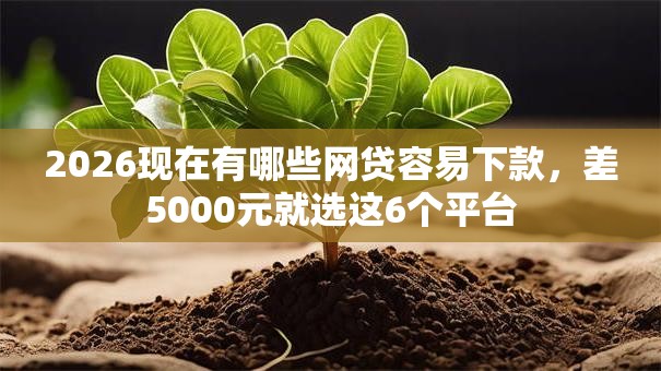 2026现在有哪些网贷容易下款，差5000元就选这6个平台