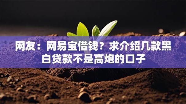 网友：网易宝借钱？求介绍几款黑白贷款不是高炮的口子