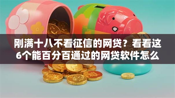 刚满十八不看征信的网贷？看看这6个能百分百通过的网贷软件怎么样