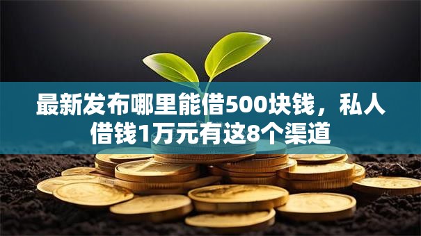 最新发布哪里能借500块钱，私人借钱1万元有这8个渠道