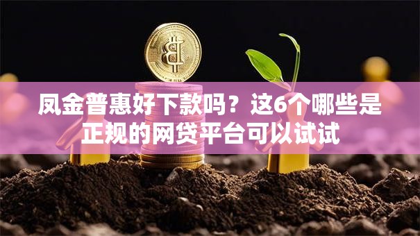 凤金普惠好下款吗?这6个哪些是正规的网贷平台可以试试 凤金普惠好下款吗?这6个哪些是正规的网贷平台可以试试