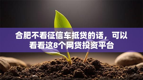 合肥不看征信车抵贷的话，可以看看这8个网贷投资平台