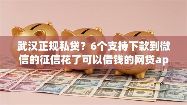 武汉正规私贷？6个支持下款到微信的征信花了可以借钱的网贷app