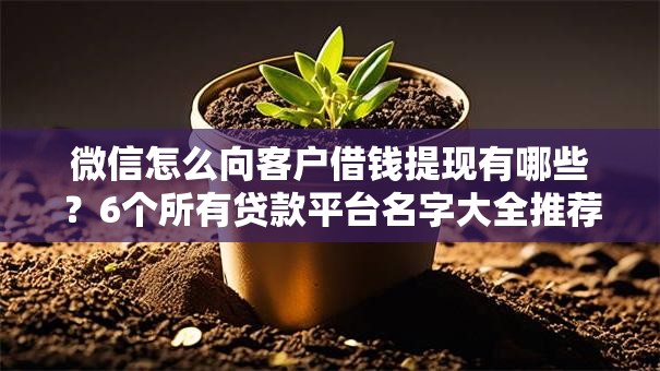 微信怎么向客户借钱提现有哪些？6个所有贷款平台名字大全推荐给你
