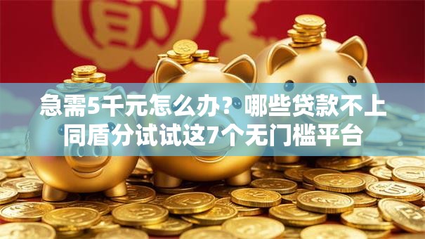 急需5千元怎么办？哪些贷款不上同盾分试试这7个无门槛平台