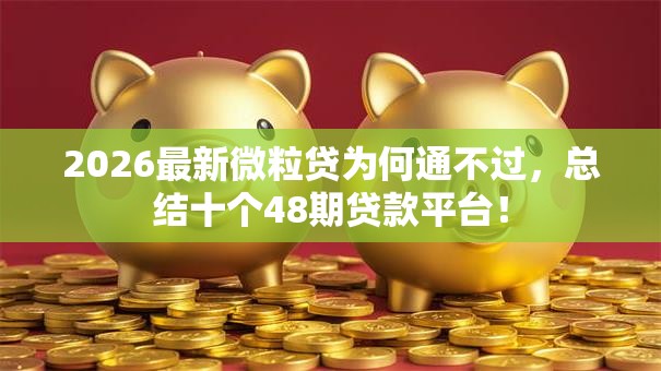 2026最新微粒贷为何通不过，总结十个48期贷款平台！