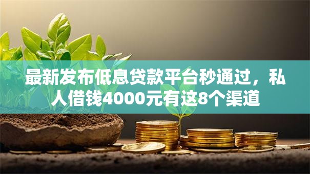 最新发布低息贷款平台秒通过，私人借钱4000元有这8个渠道