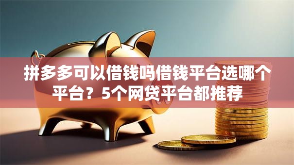 拼多多可以借钱吗借钱平台选哪个平台？5个网贷平台都推荐