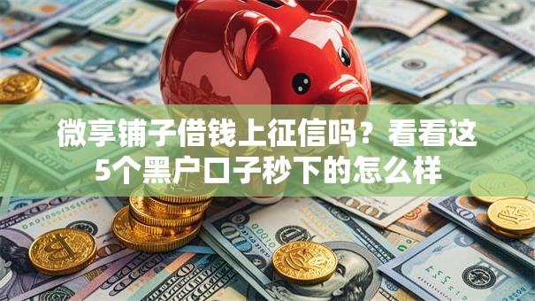 微享铺子借钱上征信吗？看看这5个黑户口子秒下的怎么样