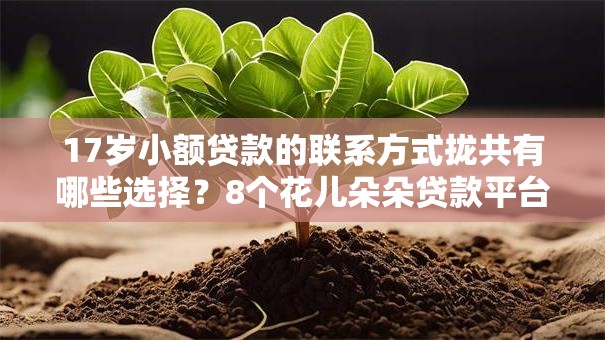 17岁小额贷款的联系方式拢共有哪些选择？8个花儿朵朵贷款平台官网详解