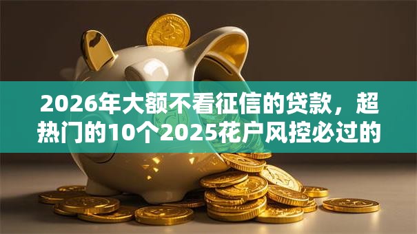 2026年大额不看征信的贷款，超热门的10个2025花户风控必过的口子论坛推荐