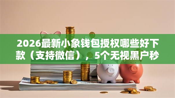 2026最新小象钱包授权哪些好下款（支持微信），5个无视黑户秒下的口子无私分享