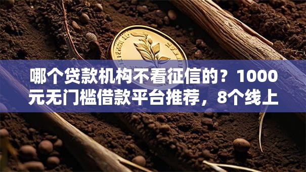 哪个贷款机构不看征信的?1000元无门槛借款平台推荐,8个线上贷款平台盘点 哪个贷款机构不看征信的?1000元无门槛借款平台推荐,8个线上贷款平台盘点