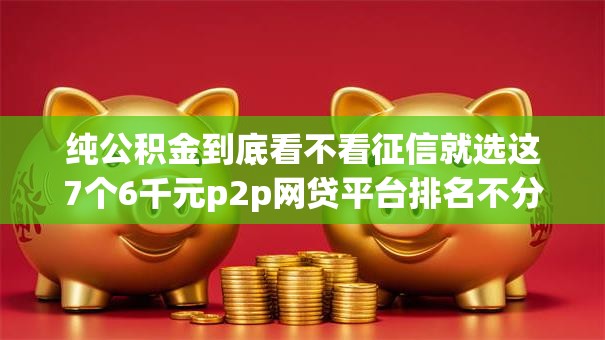 纯公积金到底看不看征信就选这7个6千元p2p网贷平台排名不分先后百强榜