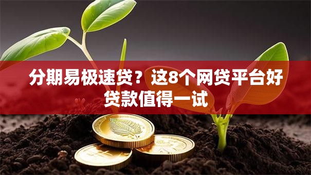 分期易极速贷？这8个网贷平台好贷款值得一试