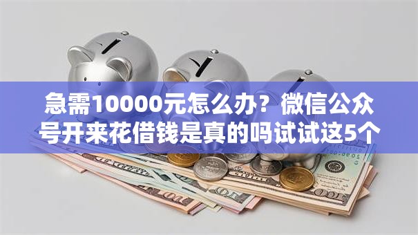 急需10000元怎么办？微信公众号开来花借钱是真的吗试试这5个无门槛平台