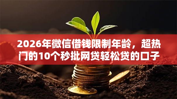 2026年微信借钱限制年龄，超热门的10个秒批网贷轻松贷的口子推荐