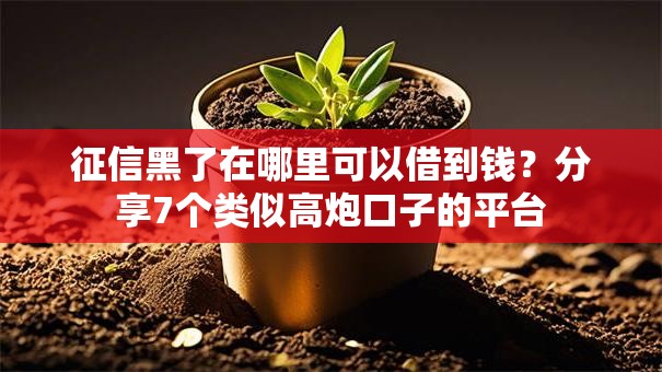 征信黑了在哪里可以借到钱？分享7个类似高炮口子的平台