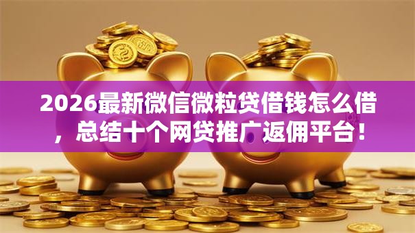 2026最新微信微粒贷借钱怎么借，总结十个网贷推广返佣平台！
