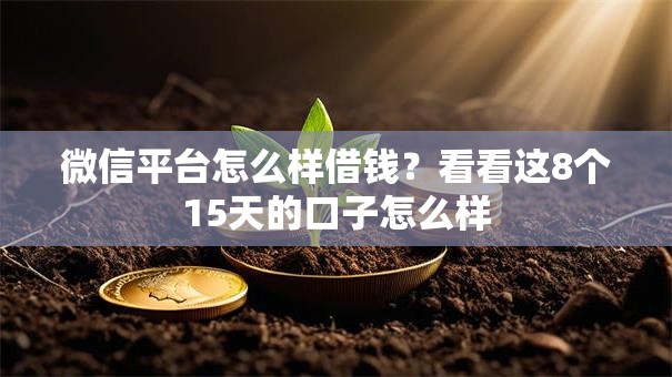 微信平台怎么样借钱？看看这8个15天的口子怎么样
