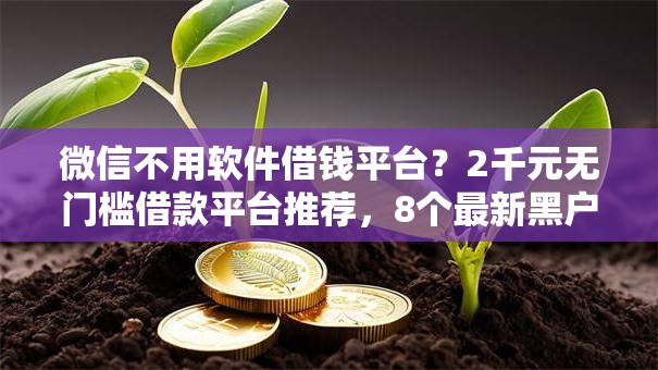 微信不用软件借钱平台？2千元无门槛借款平台推荐，8个最新黑户口子盘点