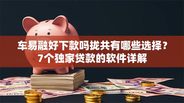 车易融好下款吗拢共有哪些选择?7个独家贷款的软件详解 车易融好下款吗拢共有哪些选择?7个独家贷款的软件详解