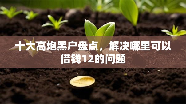 十大高炮黑户盘点，解决哪里可以借钱12的问题
