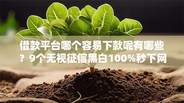 借款平台哪个容易下款呢有哪些？9个无视征信黑白100%秒下网贷软件推荐给你
