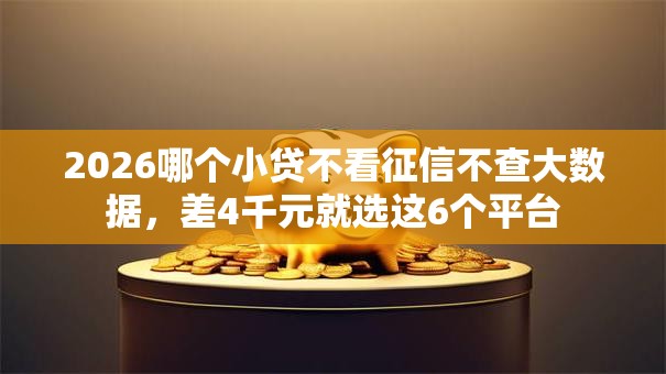 2026哪个小贷不看征信不查大数据，差4千元就选这6个平台
