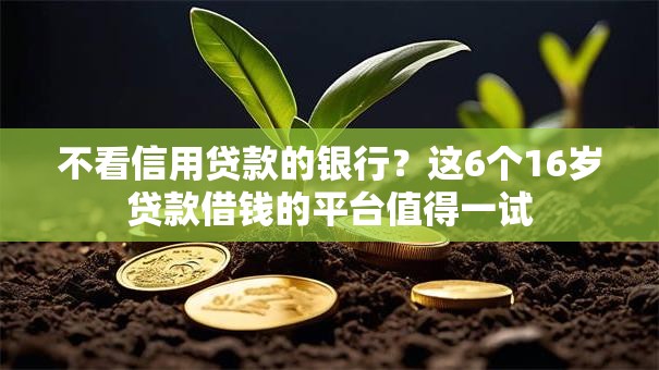 不看信用贷款的银行？这6个16岁贷款借钱的平台值得一试