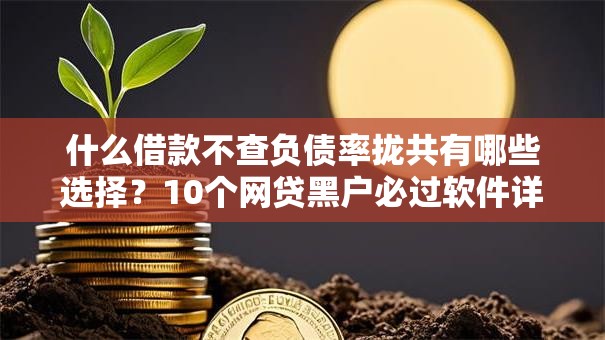 什么借款不查负债率拢共有哪些选择?10个网贷黑户必过软件详解 什么借款不查负债率拢共有哪些选择?10个网贷黑户必过软件详解