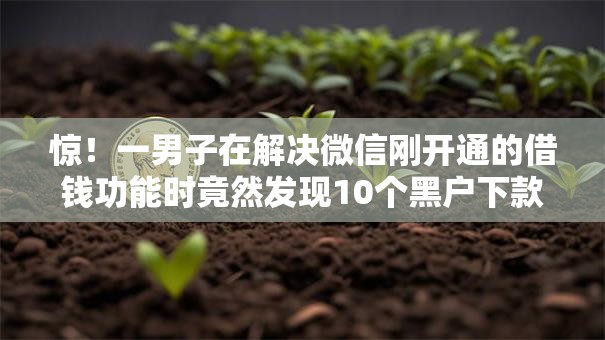 惊！一男子在解决微信刚开通的借钱功能时竟然发现10个黑户下款的口子，事后分享了出来