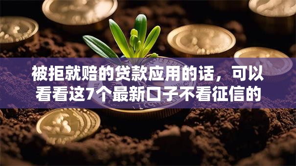 被拒就赔的贷款应用的话，可以看看这7个最新口子不看征信的