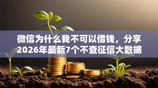 微信为什么我不可以借钱，分享2026年最新7个不查征信大数据的借款平台百分百通过