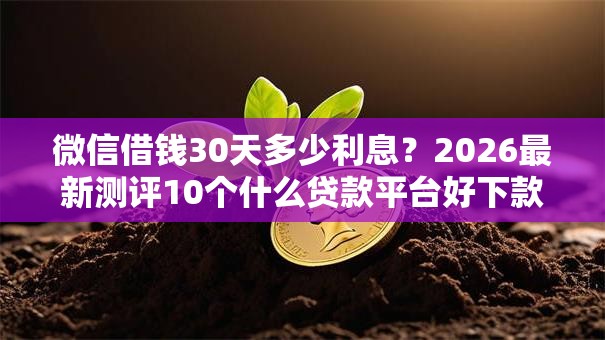 微信借钱30天多少利息?2026最新测评10个什么贷款平台好下款 微信借钱30天多少利息?2026最新测评10个什么贷款平台好下款