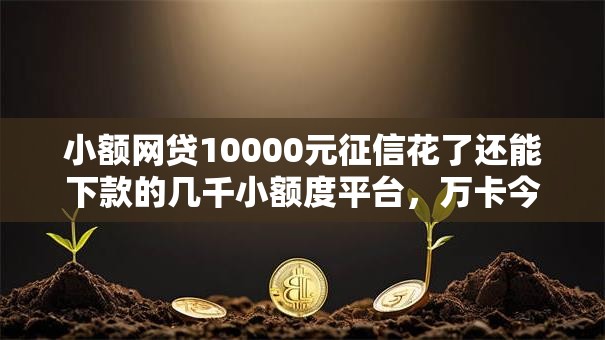 小额网贷10000元征信花了还能下款的几千小额度平台，万卡今年好下款吗是真的吗的6个平台介绍
