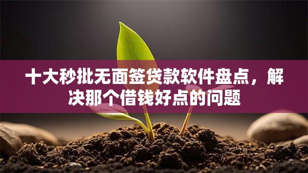 十大秒批无面签贷款软件盘点，解决那个借钱好点的问题