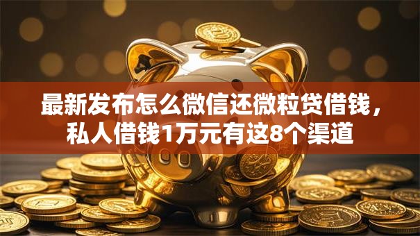 最新发布怎么微信还微粒贷借钱，私人借钱1万元有这8个渠道