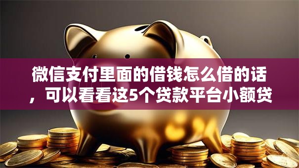 微信支付里面的借钱怎么借的话，可以看看这5个贷款平台小额贷款不看征信