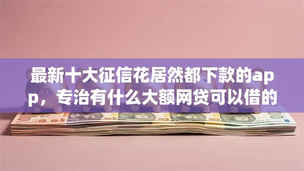 最新十大征信花居然都下款的app，专治有什么大额网贷可以借的