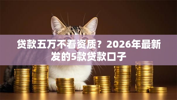 贷款五万不看资质?2026年最新发的5款贷款口子 贷款五万不看资质?2026年最新发的5款贷款口子