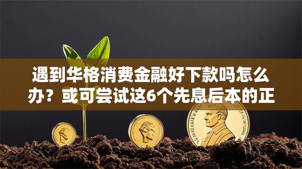 遇到华格消费金融好下款吗怎么办？或可尝试这6个先息后本的正规贷款平台