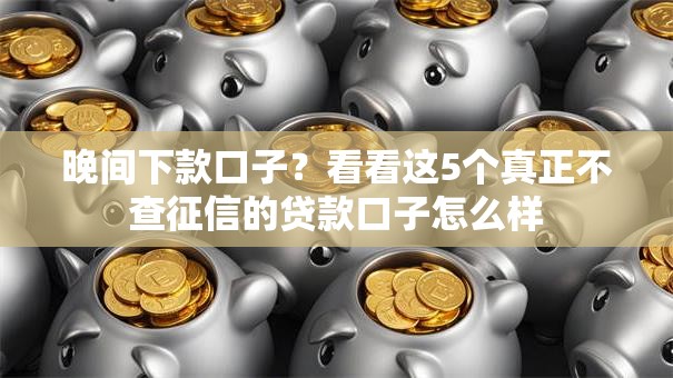 晚间下款口子？看看这5个真正不查征信的贷款口子怎么样
