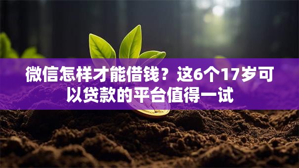 微信怎样才能借钱？这6个17岁可以贷款的平台值得一试