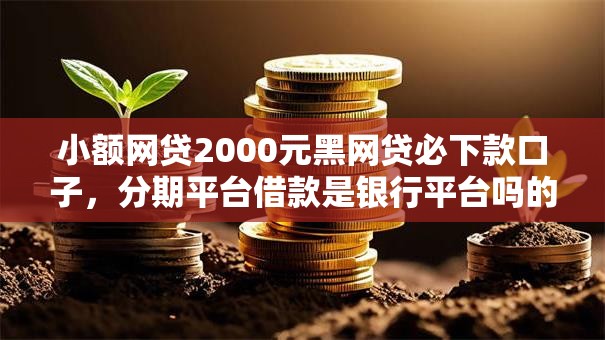 小额网贷2000元黑网贷必下款口子，分期平台借款是银行平台吗的6个平台介绍